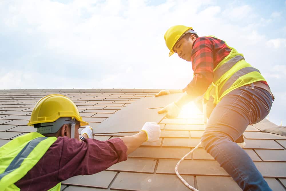 Roof Replacement