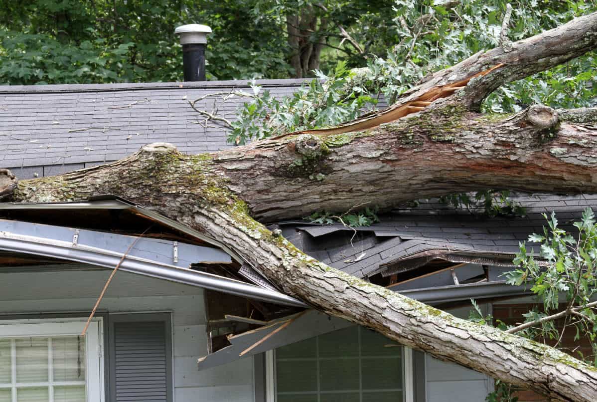 wind_damage_roof