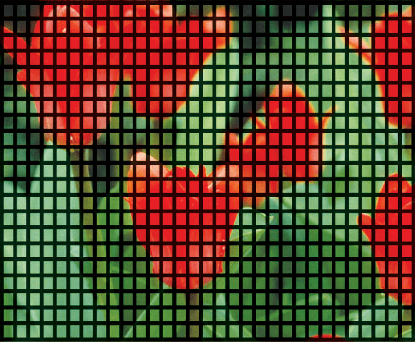 Screens