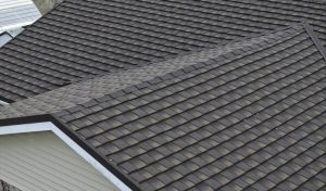 Shingle Roof